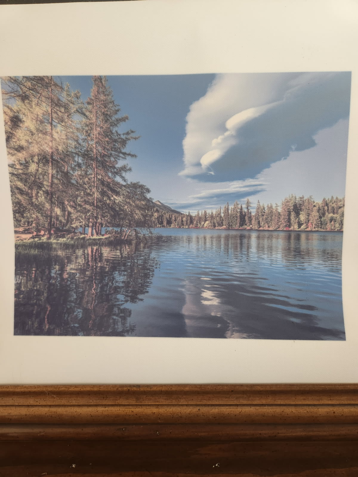 Custom Canvas